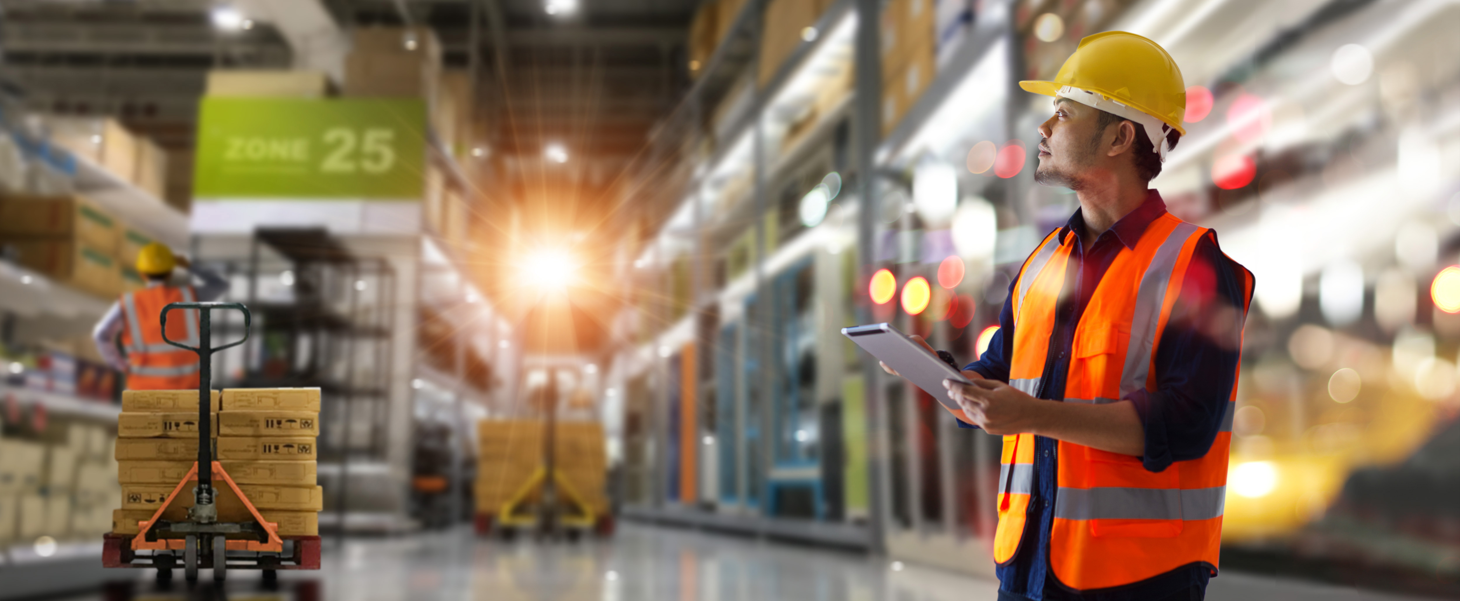supply chain management software